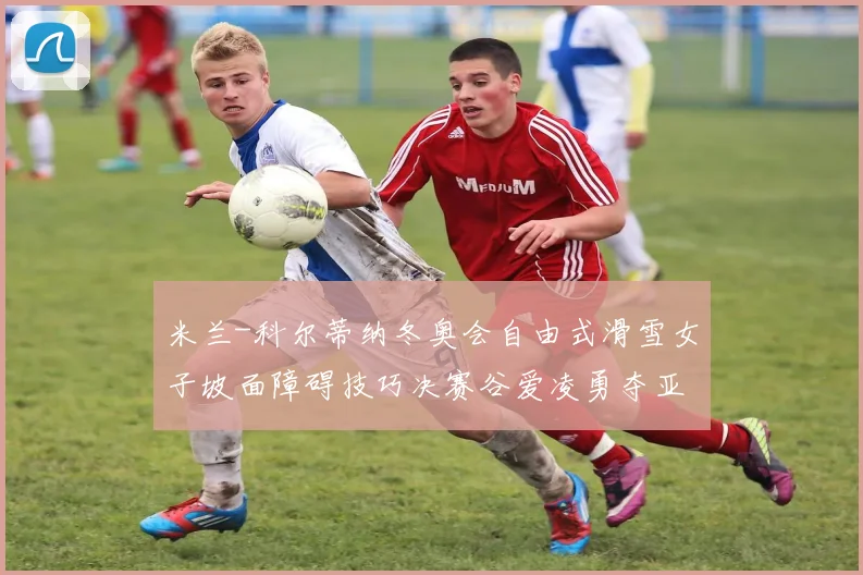 米兰-科尔蒂纳冬奥会自由式滑雪女子坡面障碍技巧决赛谷爱凌勇夺亚军